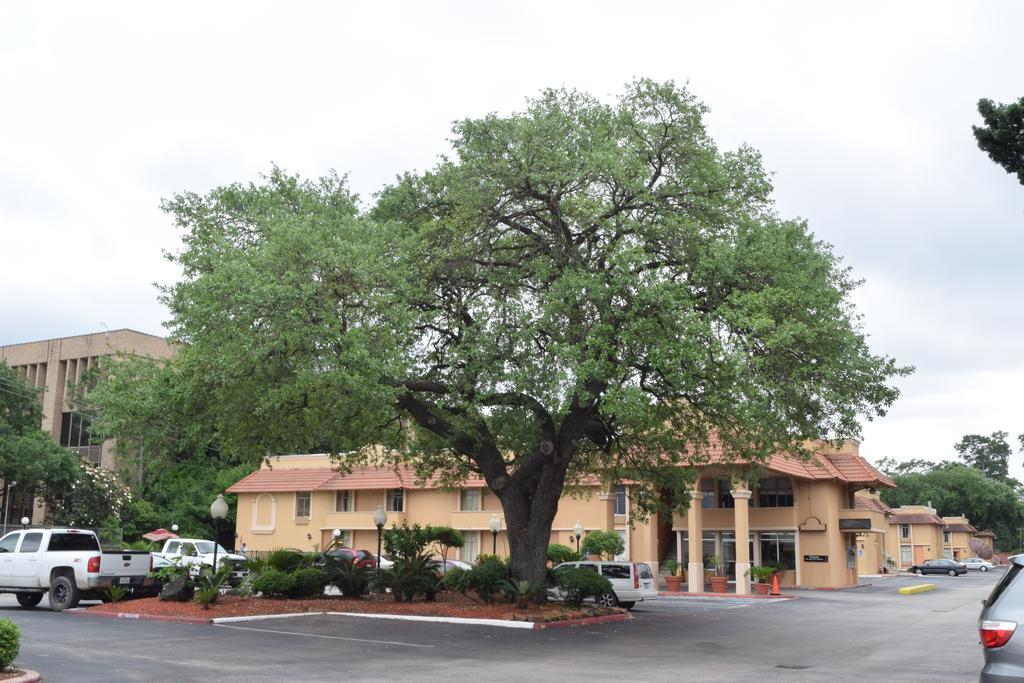 Memorial Inn And Suites Houston Exteriör bild